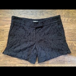 Creme Fraiche Boutique Black Lace Dressy Shorts